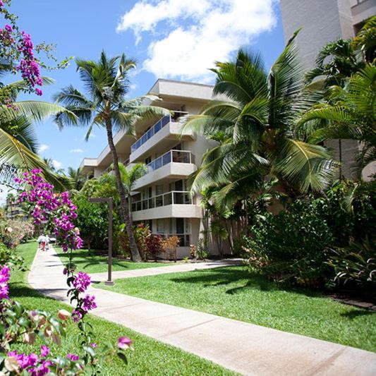 Luxury Condo At Kameole Beach T106 Wailea  Eksteriør billede
